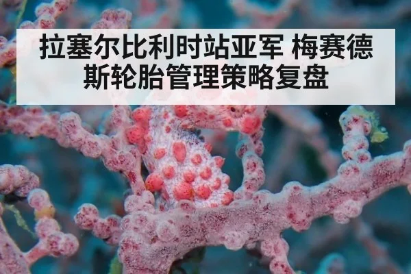 拉塞尔比利时站亚军 梅赛德斯轮胎管理策略复盘