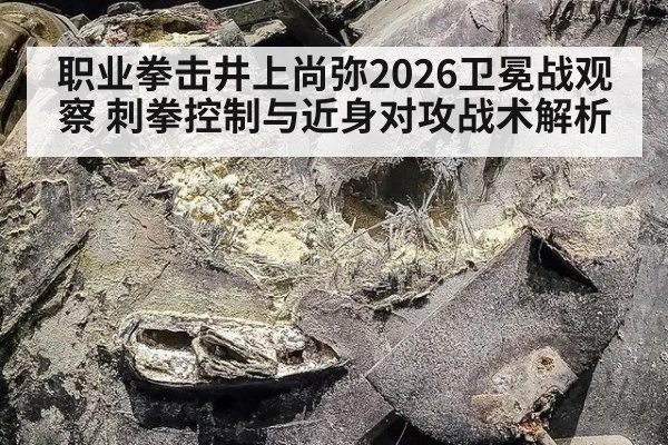 职业拳击井上尚弥2026卫冕战观察 刺拳控制与近身对攻战术解析